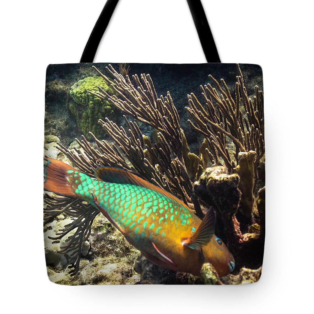 Ocean Tote Bag featuring the photograph Heading In by Lynne Browne