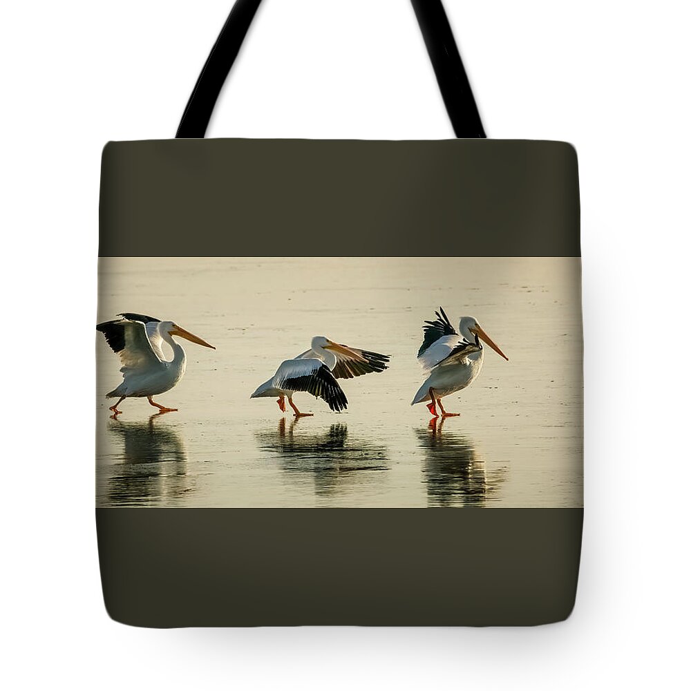 American White Pelican Tote Bag featuring the photograph Heading South by Ray Silva