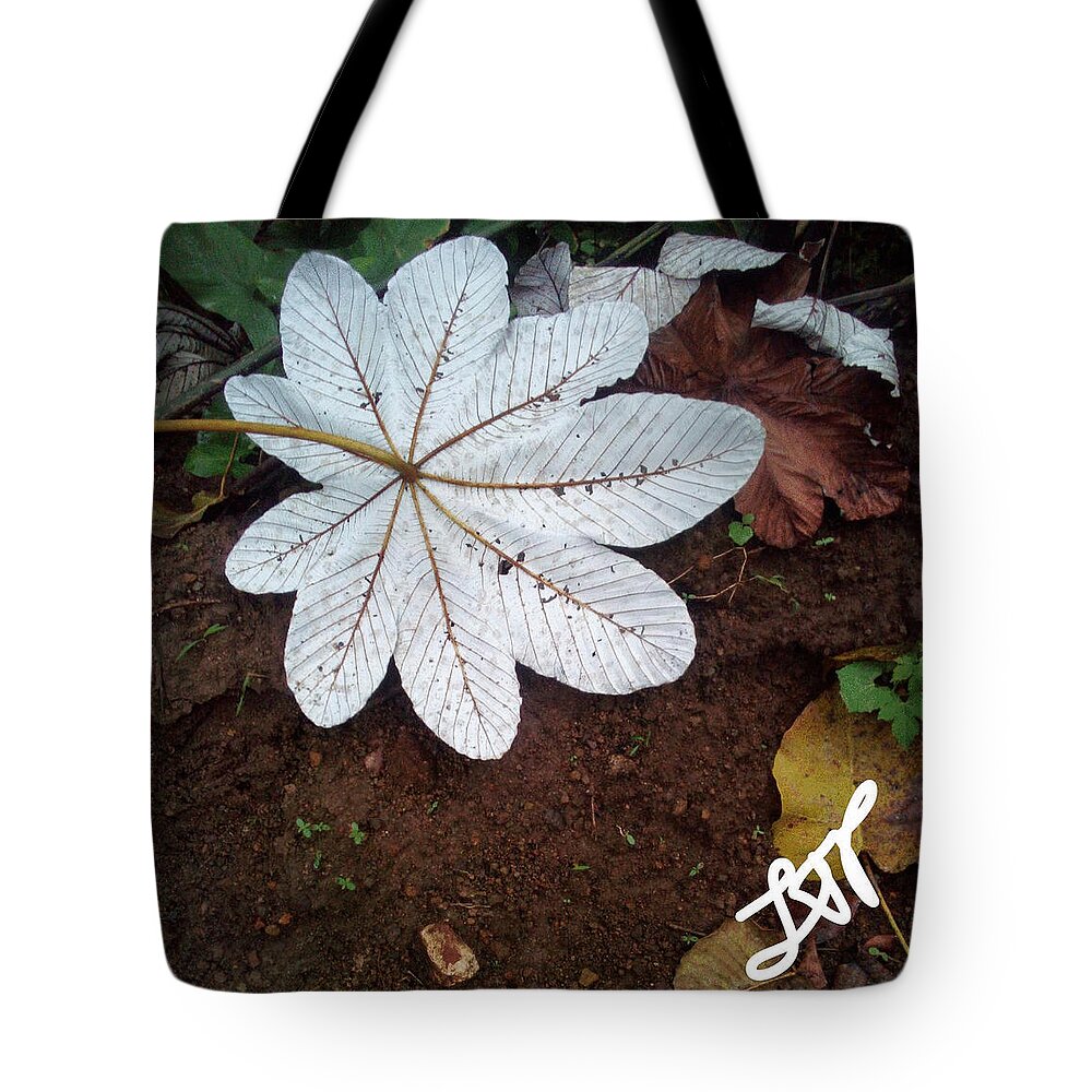 Heal Tote Bag featuring the photograph Heal Me Herbal by Esoteric Gardens KN