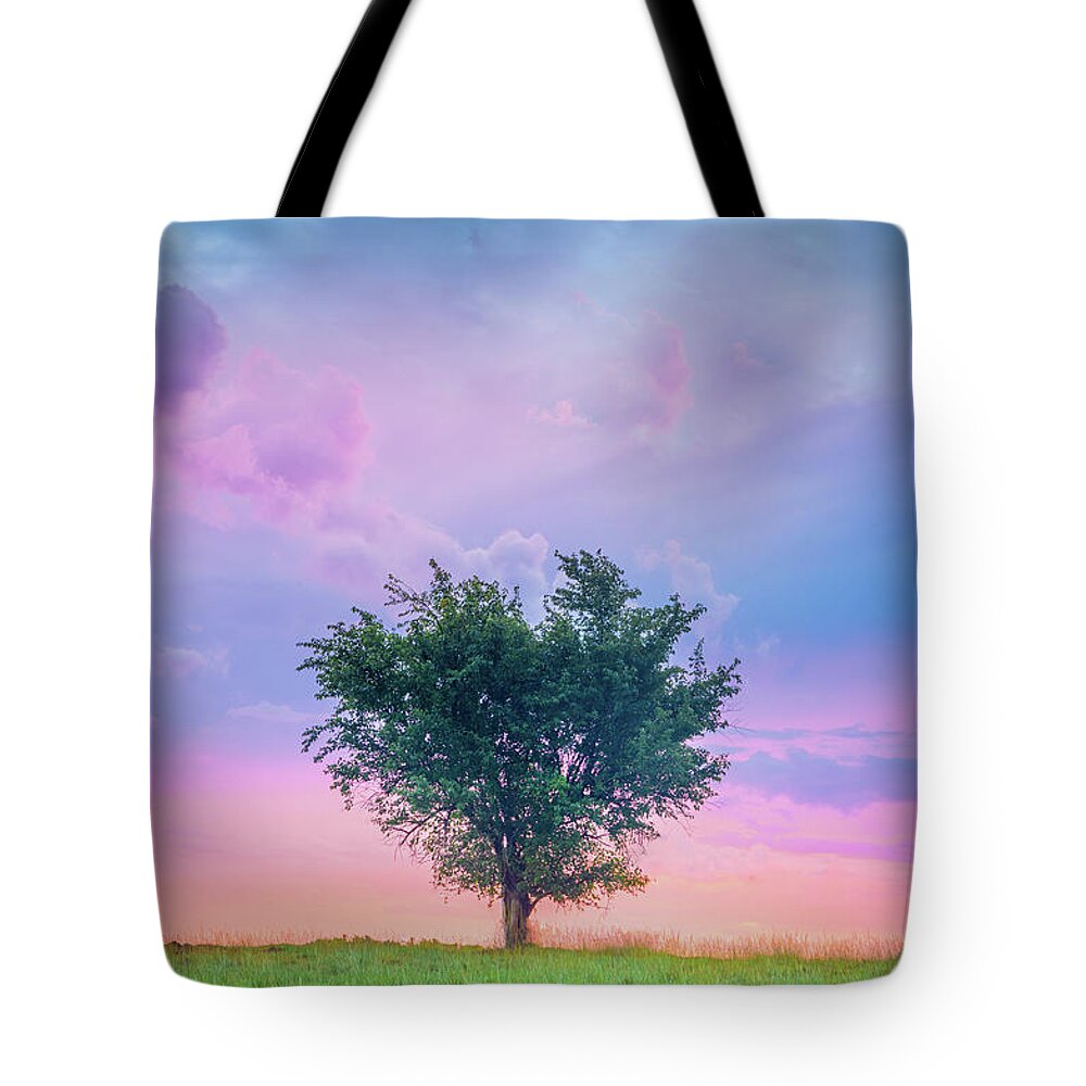Heart Tree Tote Bag featuring the photograph Heart-Shaped Tree Tupelo MIssissippi by Jordan Hill