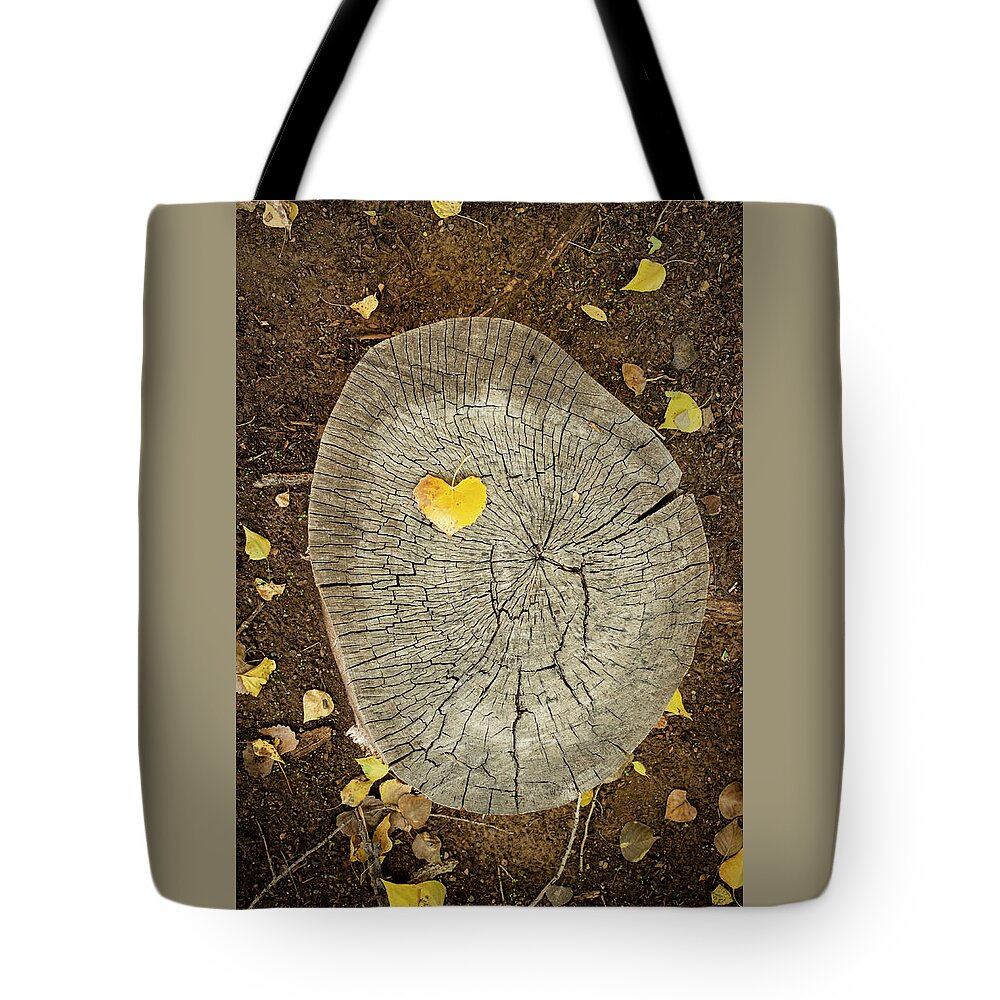 Still Life Tote Bag featuring the photograph Heart Wood by Mary Lee Dereske