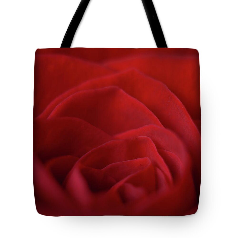 Red Rose Tote Bag featuring the photograph Hearted by Michelle Wermuth