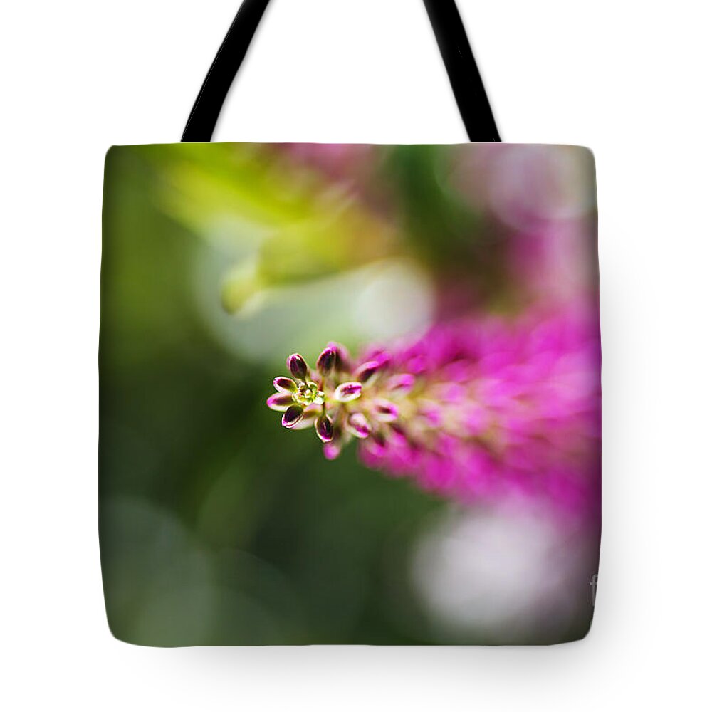 Hebe Painted Nature Tote Bag featuring the photograph Hebe Painted Nature by Joy Watson