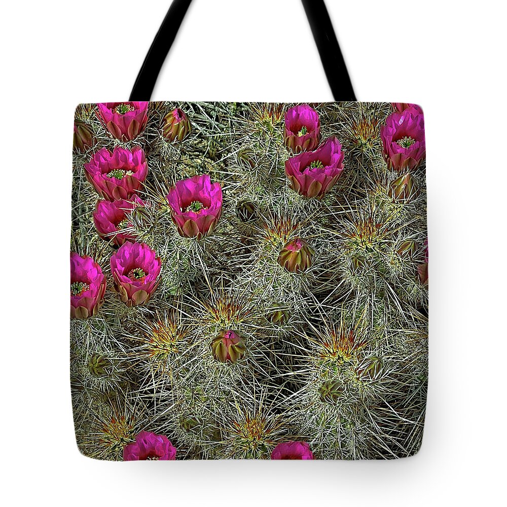 Cactus Tote Bag featuring the photograph Hedgehog Cactus Blossoms by Lynda Lehmann