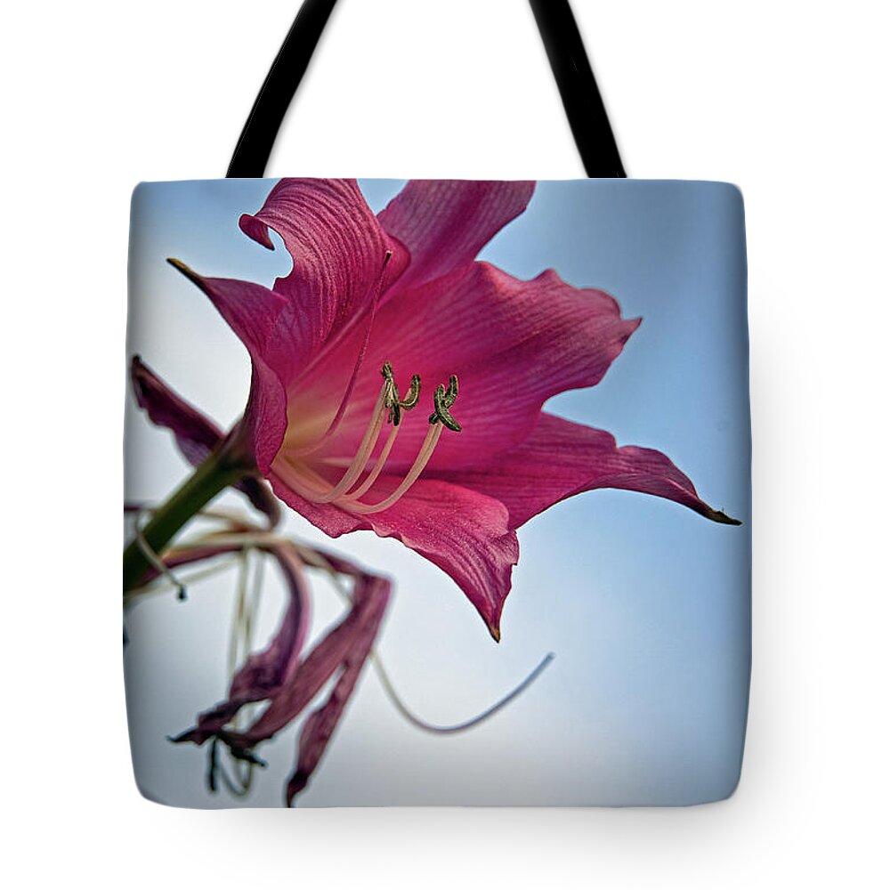 Lily Tote Bag featuring the photograph Heirloom by M Kathleen Warren