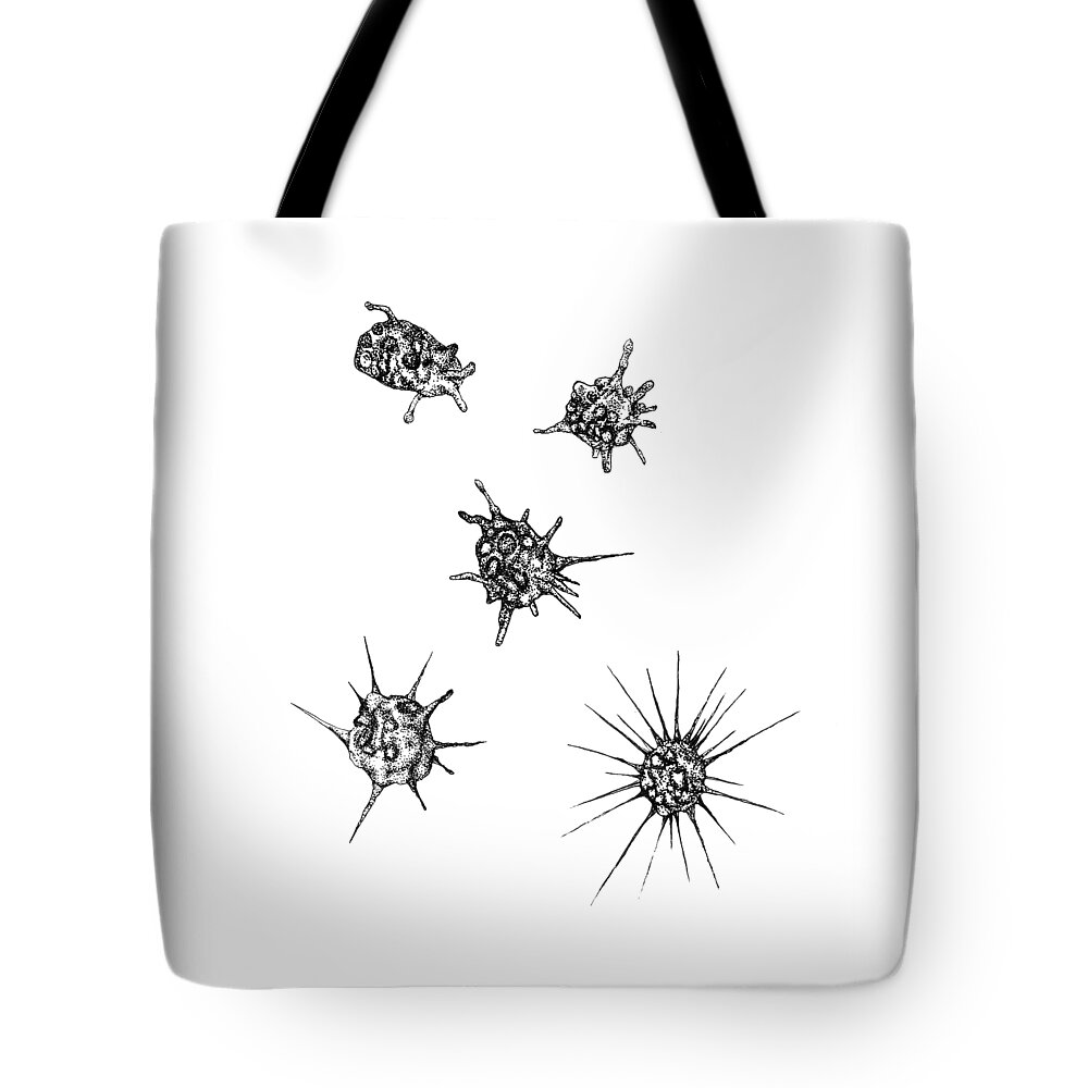 Heliozoa Tote Bag featuring the drawing Heliozoan shapeshift by Katelyn Solbakk