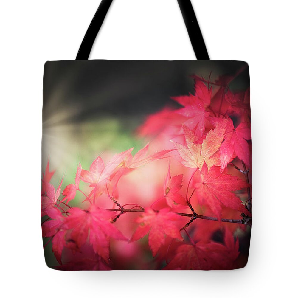 Autumn Tote Bag featuring the photograph Hello, Autumn by Philippe Sainte-Laudy