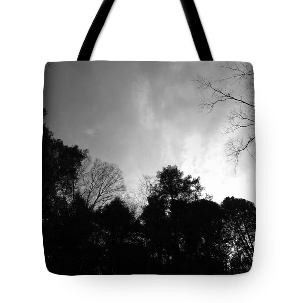 Hello Darkness Tote Bag featuring the photograph Hello Darkness by Edward Smith
