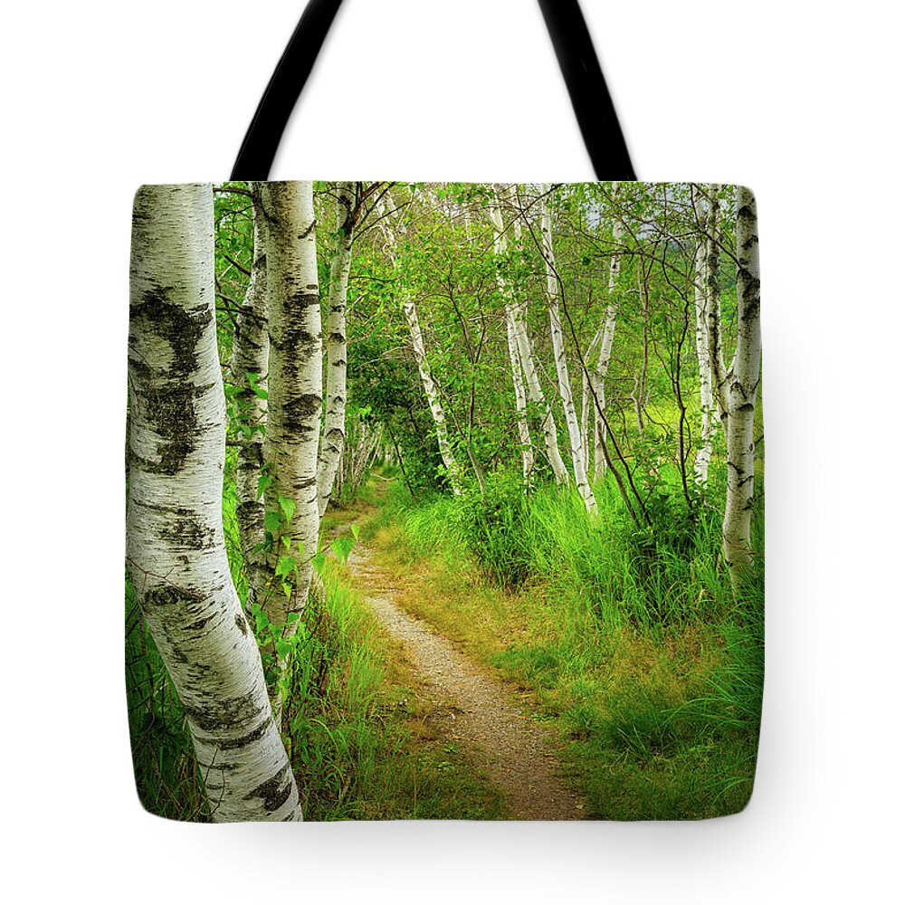 Acadia Tote Bag featuring the photograph Hemlock Road, Sieur de Monts, Acadia National Park. by Jeff Sinon