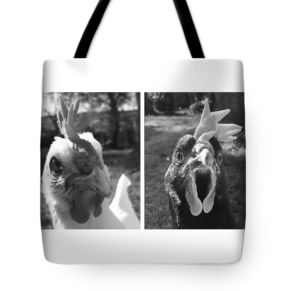 Hello Tote Bag featuring the photograph Hens Hello by Joelle Philibert