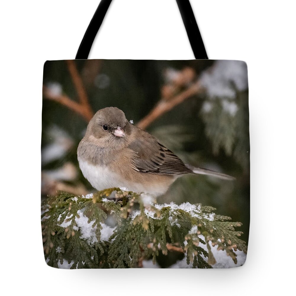 Bird Tote Bag featuring the photograph Her Subtle Beauty by Linda Bonaccorsi