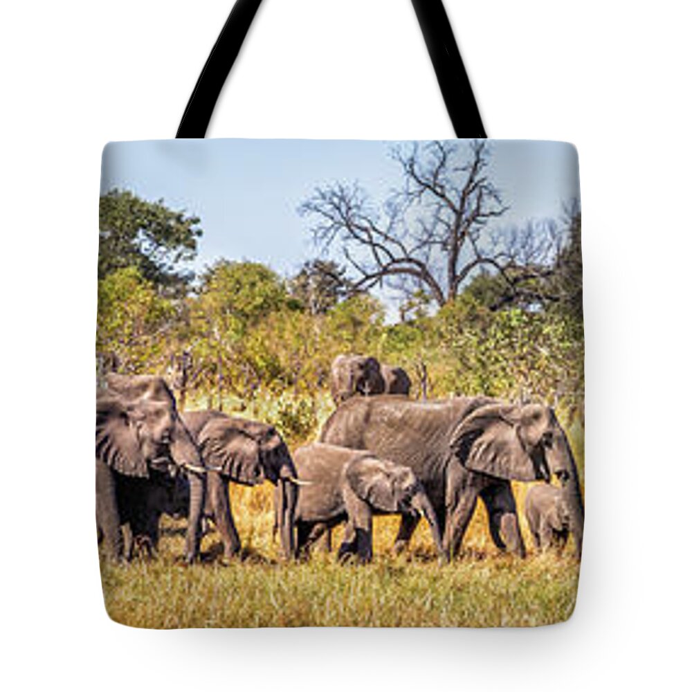 African Elephants Tote Bag featuring the photograph Herd of Elephants on the Way to Watering Hole by Elvira Peretsman