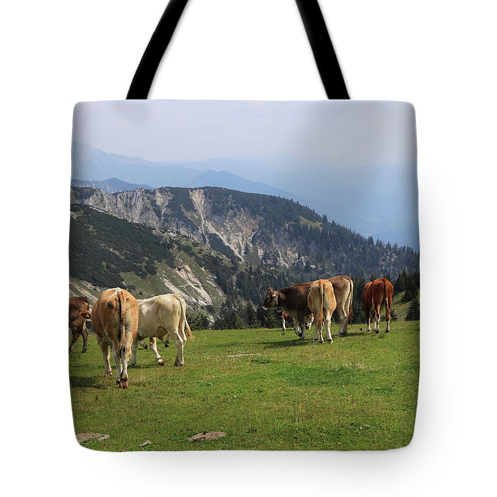 Hochkar Tote Bag featuring the photograph Herd of Pinzgauer cattle grazes on the Hochkar mountain with an incredible and soothing view of the rest of the Austrian Alps. Organic product, the freshest and highest quality milk. by Vaclav Sonnek