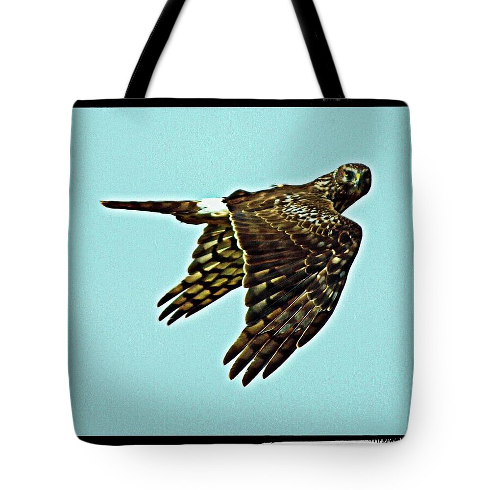 Animal Tote Bag featuring the digital art Here's Looking At You Kid Again by David Desautel