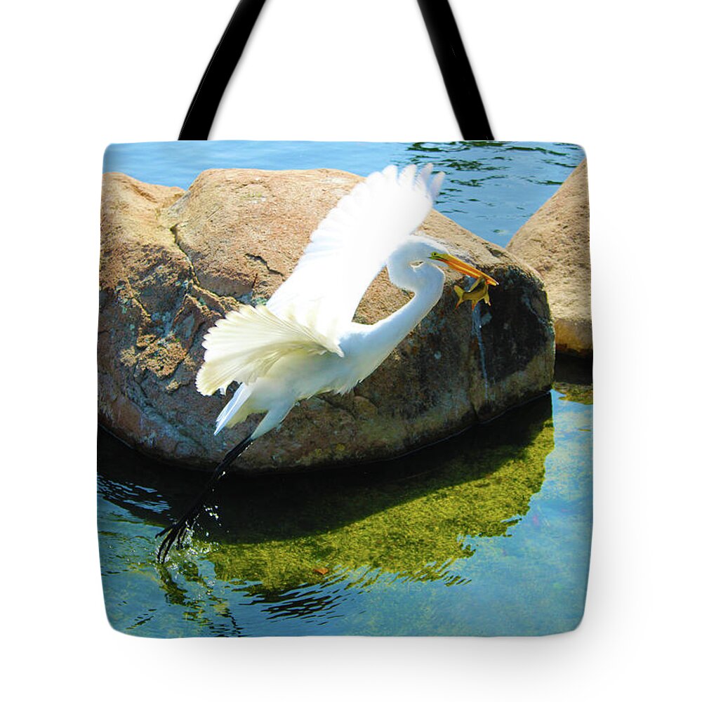 Birds Tote Bag featuring the photograph Heron at Dinner Time by Marcus Jones