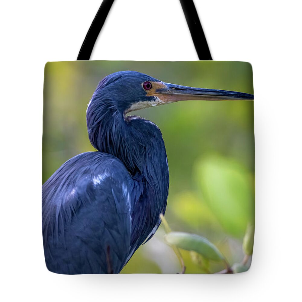 Heron Tote Bag featuring the photograph Heron Blues by Mary Buck