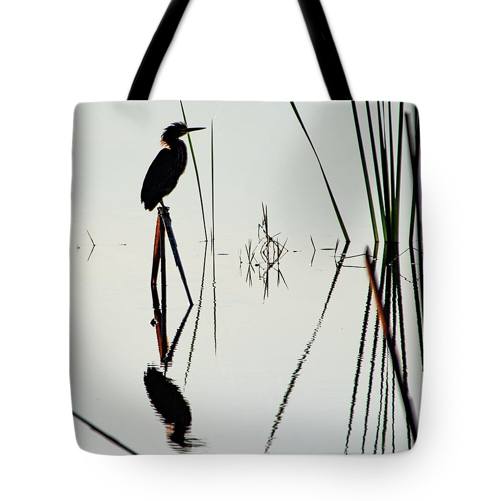 Green Heron Tote Bag featuring the photograph Heron in a Marsh by Bradford Martin