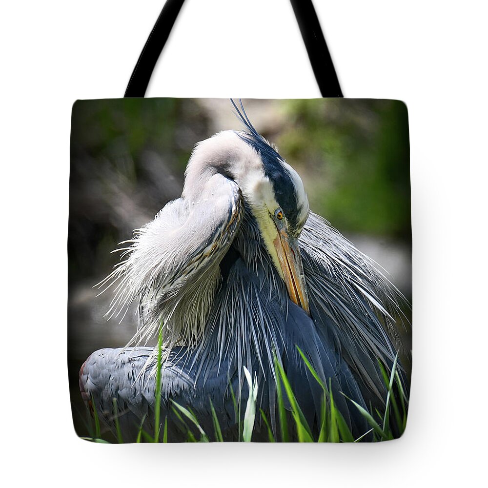 Blue Heron Tote Bag featuring the photograph Heron by Michelle Wittensoldner