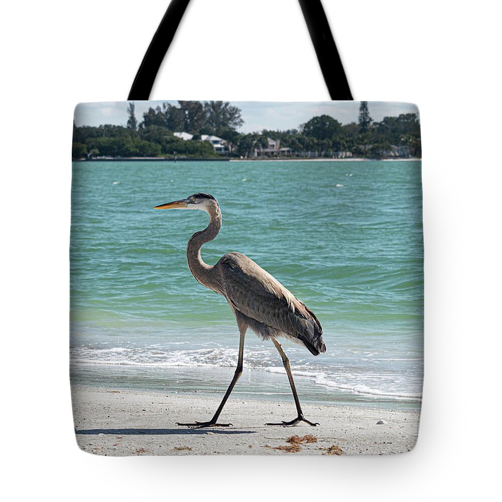 Susan Molnar Tote Bag featuring the photograph Heron on Lido Beach 1 by Susan Molnar