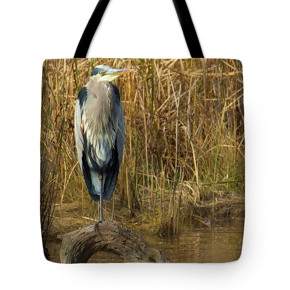 Animals Tote Bag featuring the photograph Heron standing on log in water by Charles Floyd