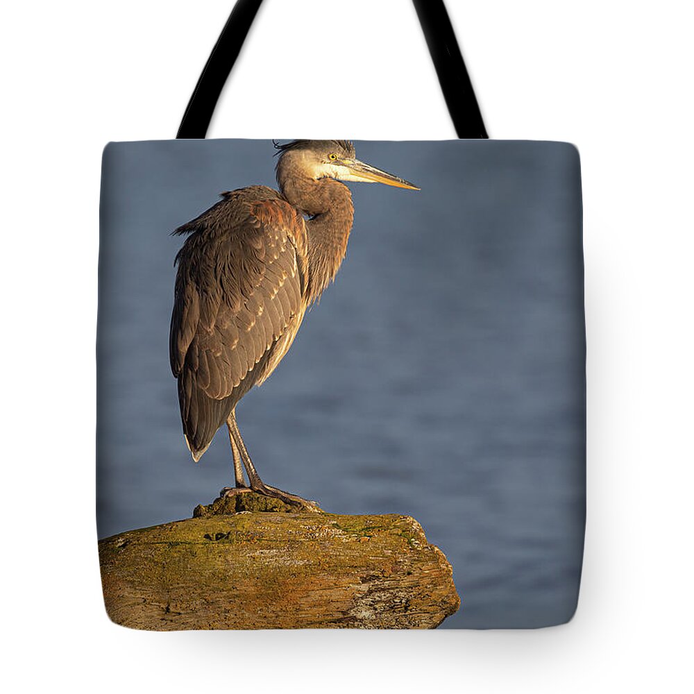 Blue Heron Tote Bag featuring the photograph Heron Sunset Vertical by Michael Rauwolf