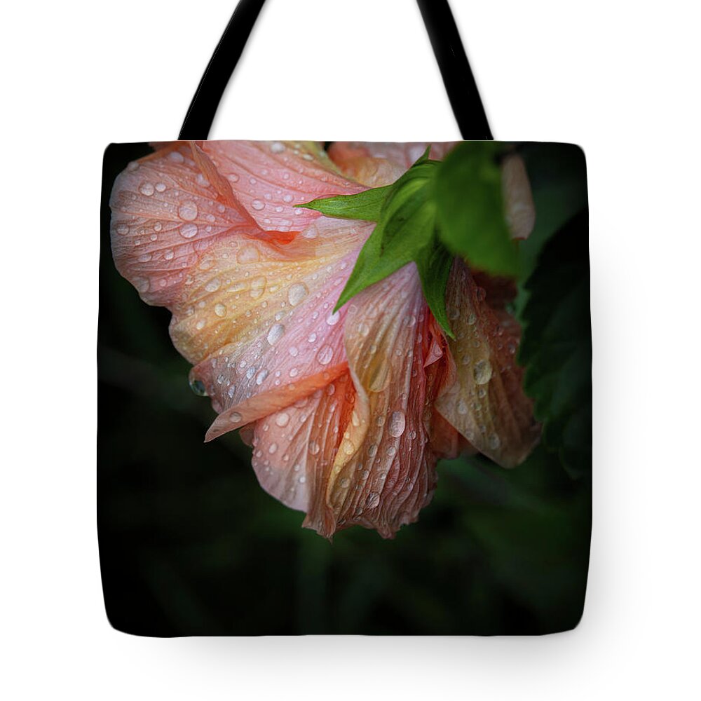 Bloom Tote Bag featuring the photograph Hibiscus After Rain by M Kathleen Warren