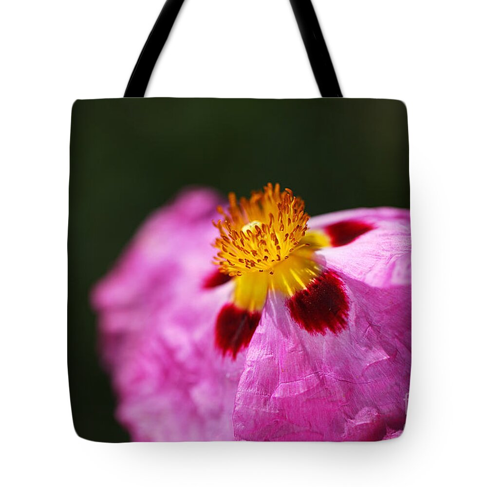 Australian Hibiscus Tote Bag featuring the photograph Hibiscus Desert Rose Pink by Joy Watson