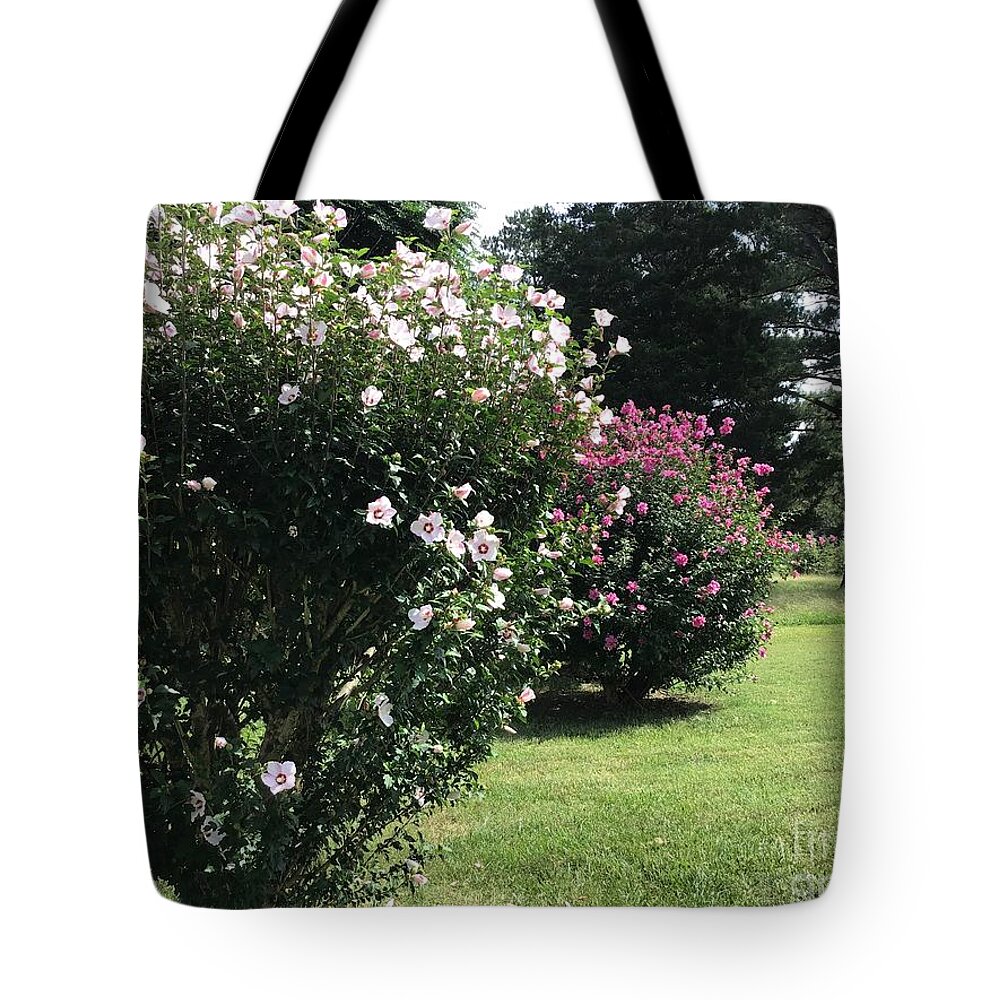 Hibiscus Tote Bag featuring the photograph Hibiscus Row by Catherine Wilson