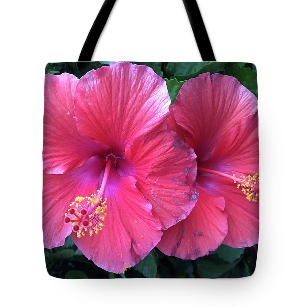  Tote Bag featuring the photograph Hibiscus by Stephen Dorton