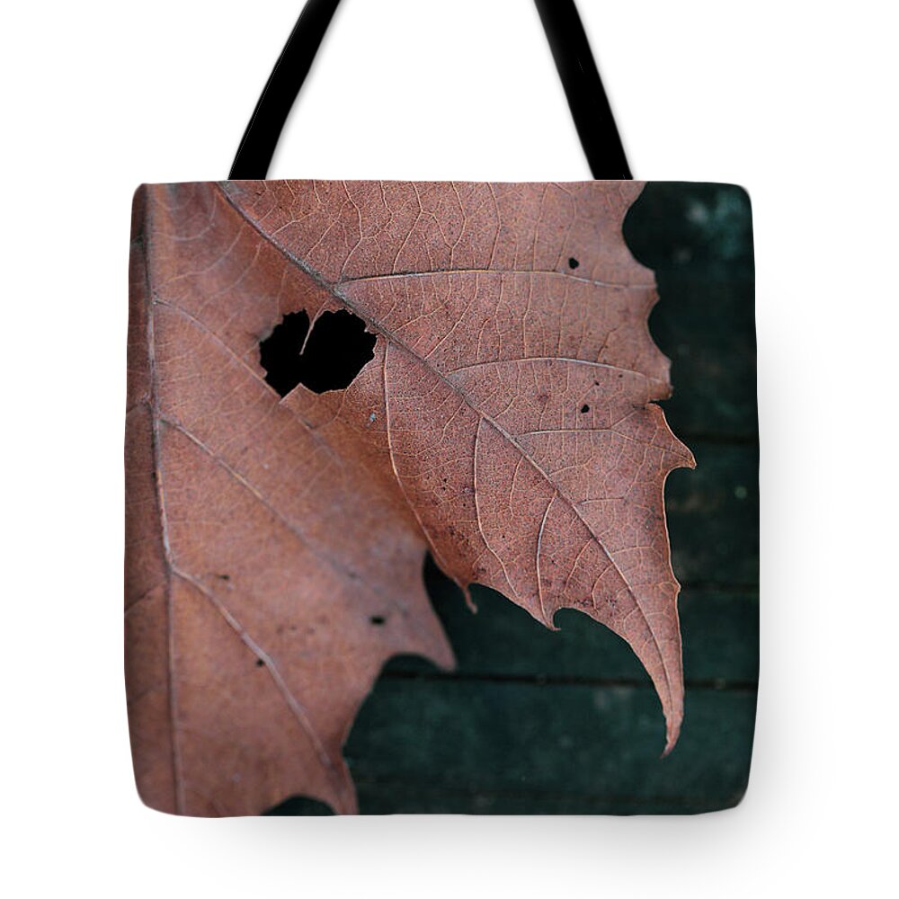 Mountain Tote Bag featuring the photograph Hidden Leaf Heart by Go and Flow Photos