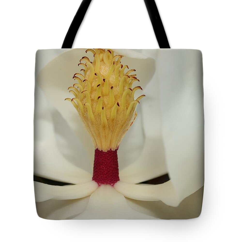 Magnolia Flower Tote Bag featuring the photograph Hidden Wonder 2 by Mingming Jiang