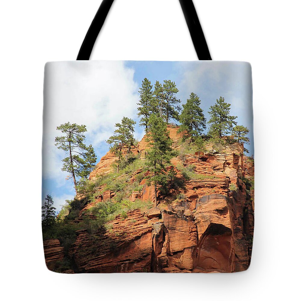 Landscape Tote Bag featuring the photograph High Above the Canyon by Robert Carter