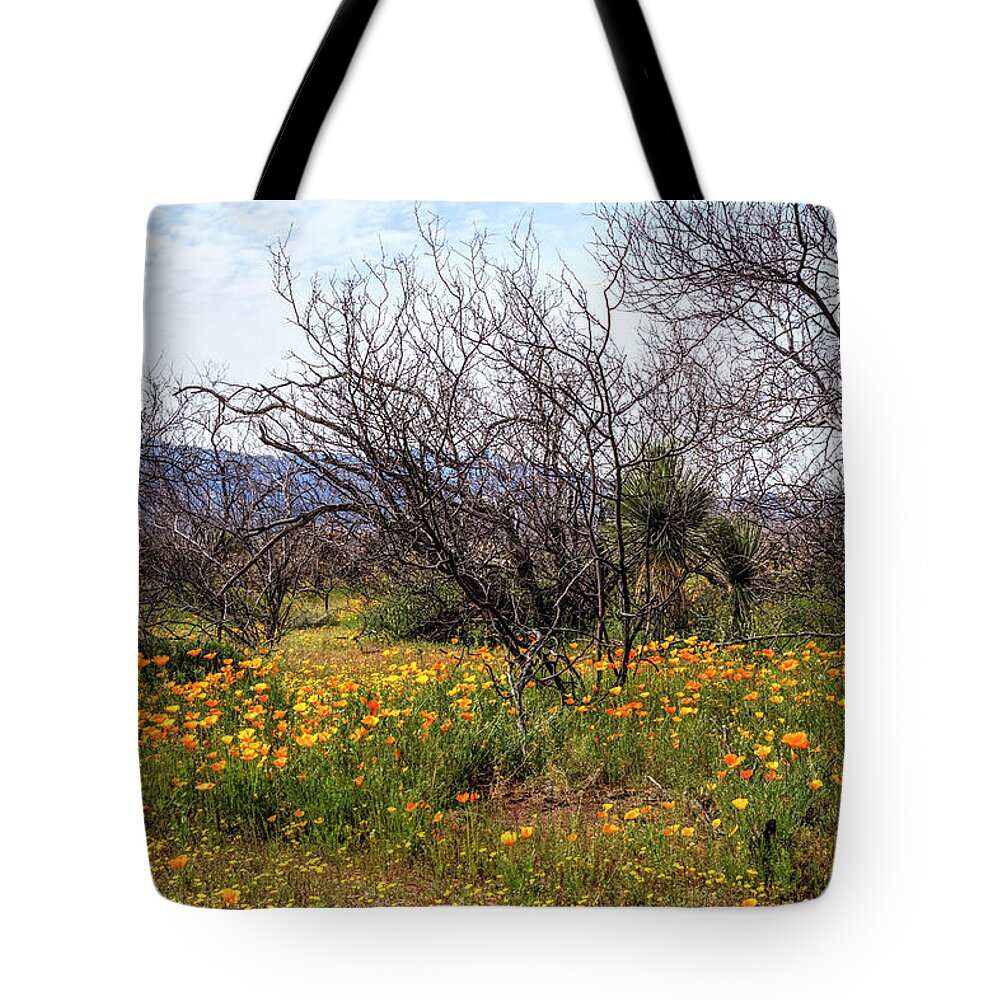 Arizona Tote Bag featuring the photograph High Desert Bloom by Robert Harris