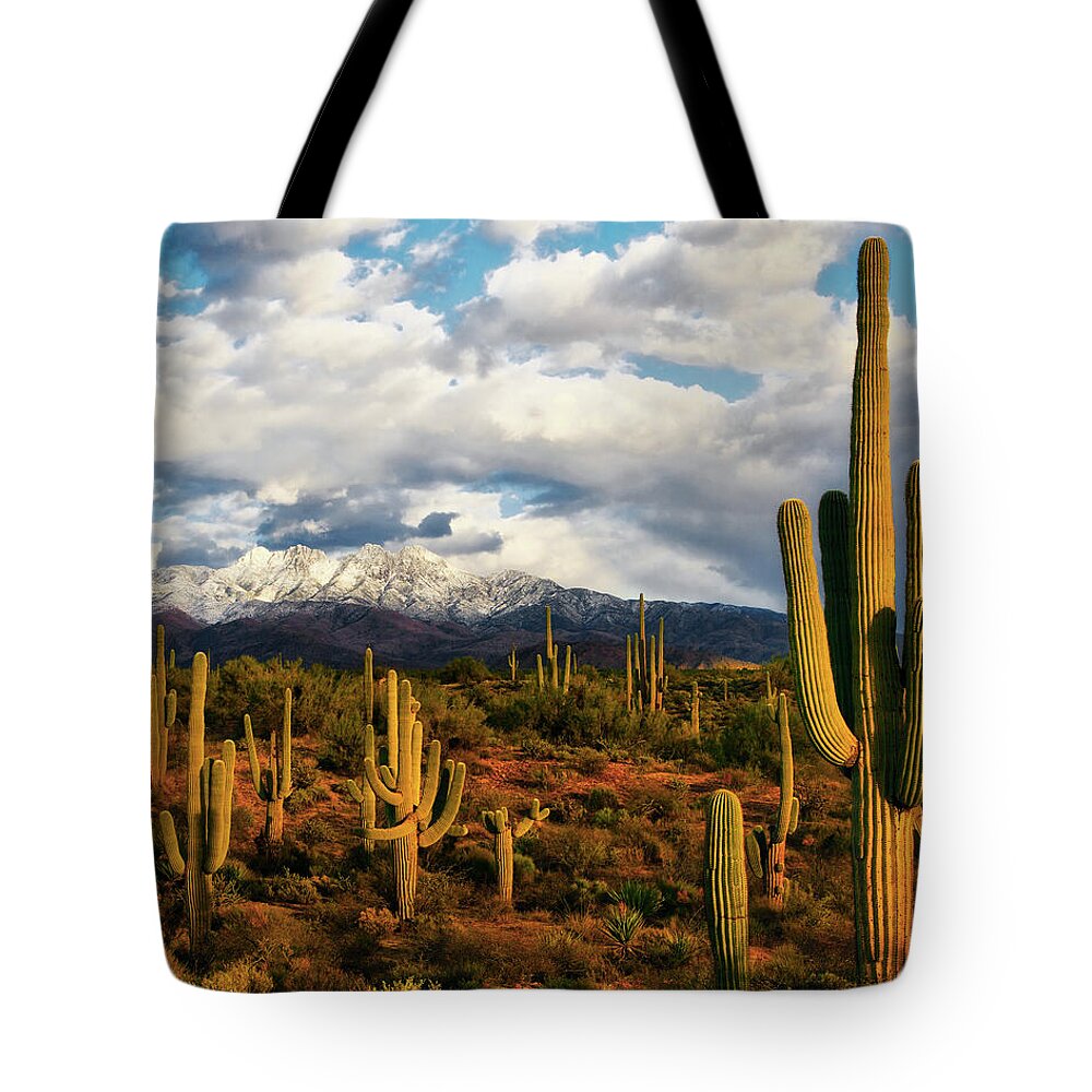 Art Tote Bag featuring the photograph High Desert Snow by Rick Furmanek