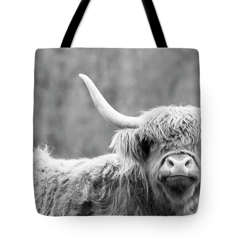 Cow Tote Bag featuring the photograph Highland Coo by Holly Ross