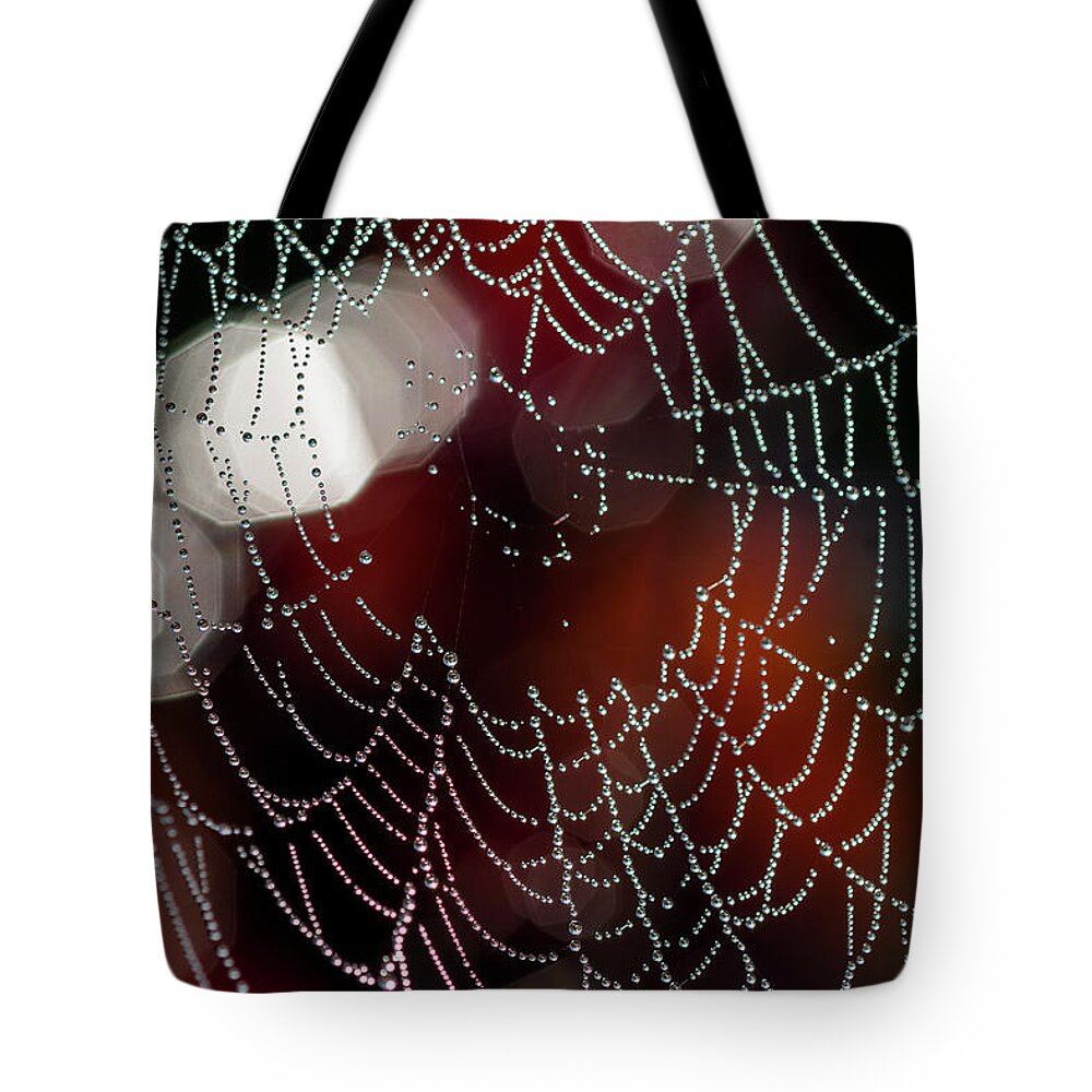 Abstract Tote Bag featuring the photograph Highlights and Low Light Web by Robert Potts