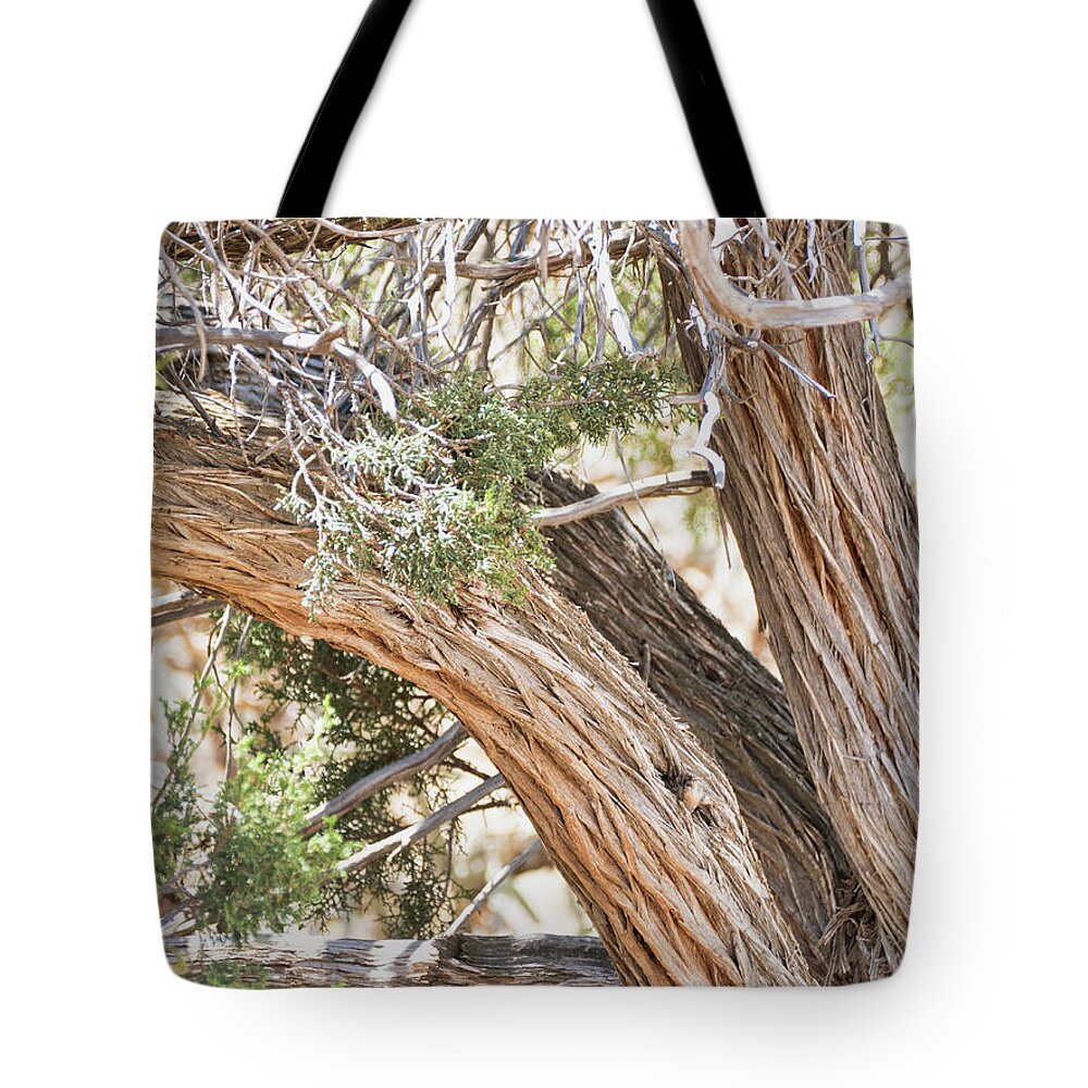 Flora Tote Bag featuring the photograph Highly textured tree trunk by Segura Shaw Photography