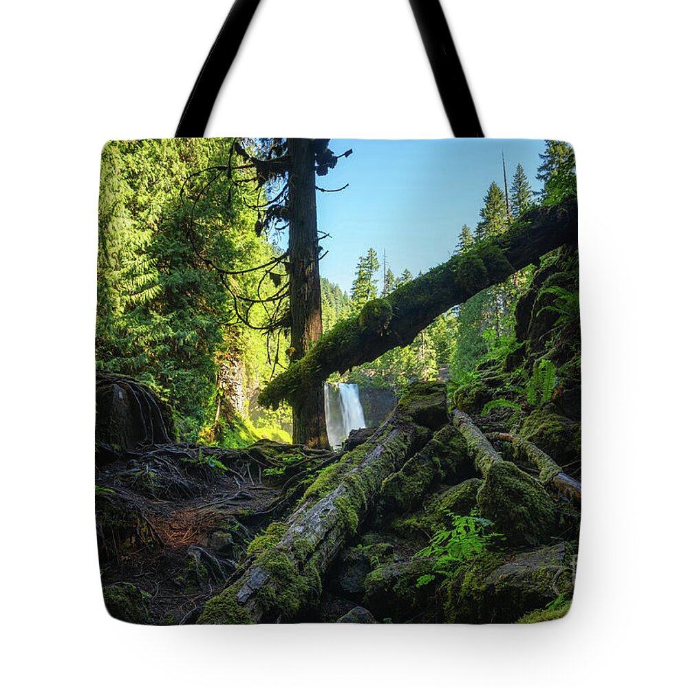 Koosah Falls Tote Bag featuring the photograph Hike To Koosah Falls by Michael Ver Sprill