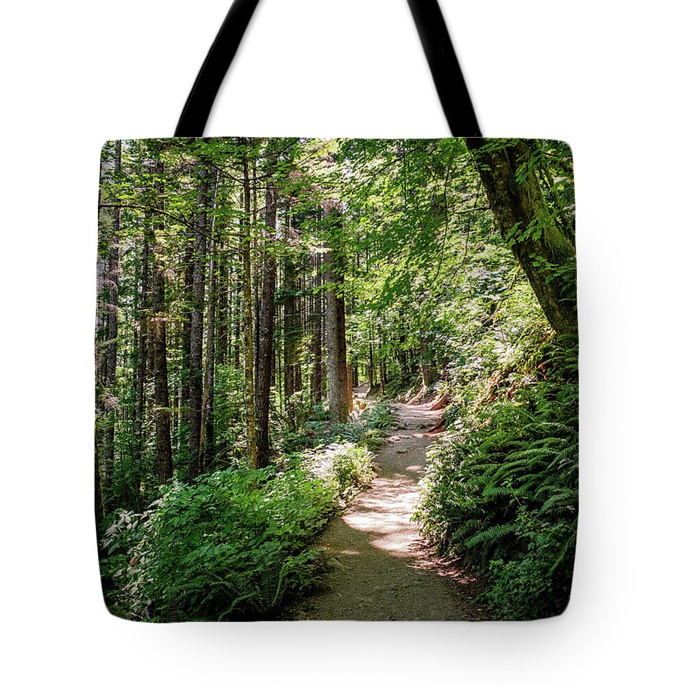 Washington Tote Bag featuring the photograph Hiking in the forest 2 by Alberto Zanoni