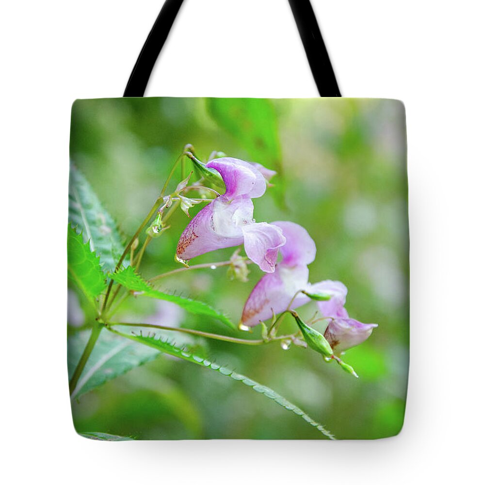 Impatiens Glanulifera Tote Bag featuring the photograph Himalaya Touch me not by Kristin Hatt