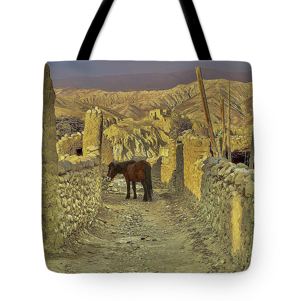 Horse Tote Bag featuring the photograph Himalayan Horse with No Name by Matthew Bamberg