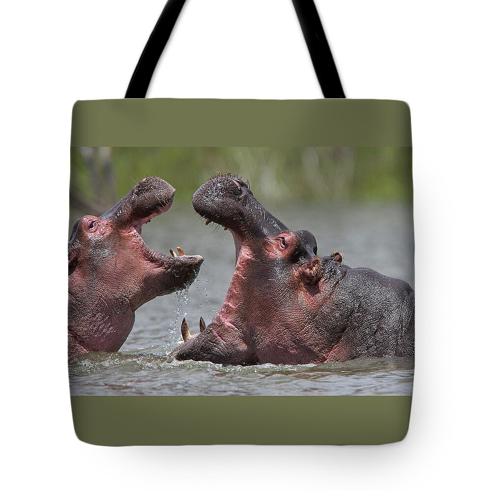 Adult Tote Bag featuring the photograph Hippopotamus amphibius, an adult with a juvenile by Tony Mills
