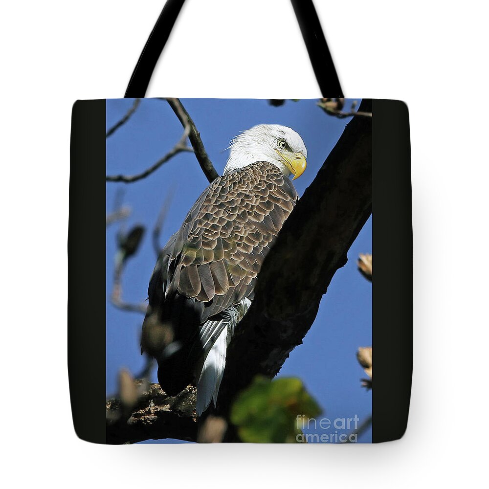 Bald Eagles Tote Bag featuring the photograph His Domain by Geoff Crego