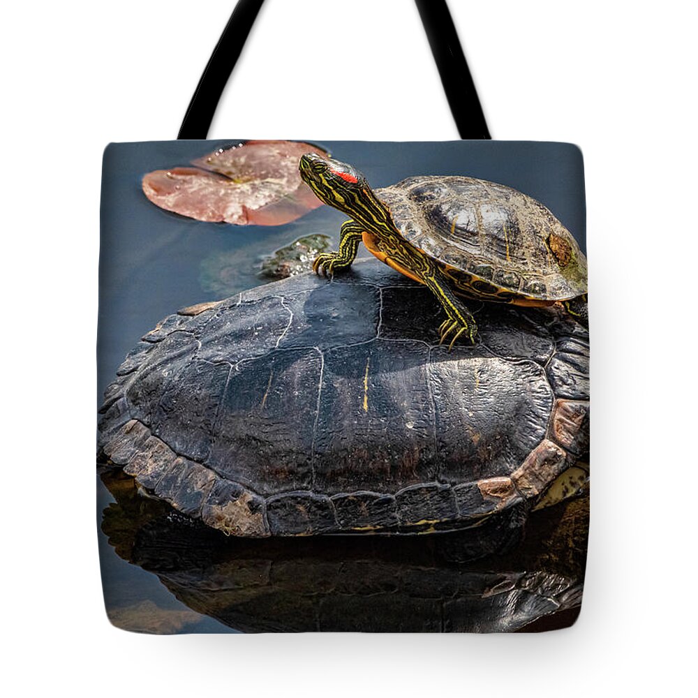 Lakes And Rivers Tote Bag featuring the photograph Hitch Hiker by Larey McDaniel