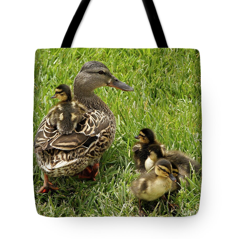 Duck Tote Bag featuring the photograph Hitching a Ride by Michele Burgess