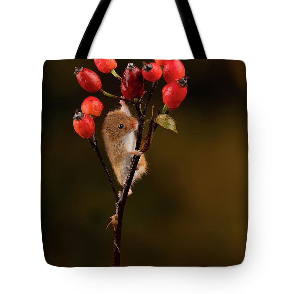 Harvest Tote Bag featuring the photograph Hm-00338 by Miles Herbert
