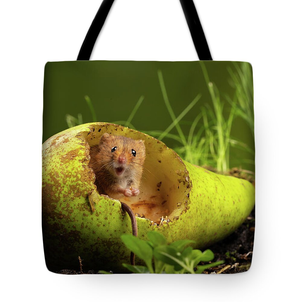 Harvest Tote Bag featuring the photograph HM-08600b by Miles Herbert