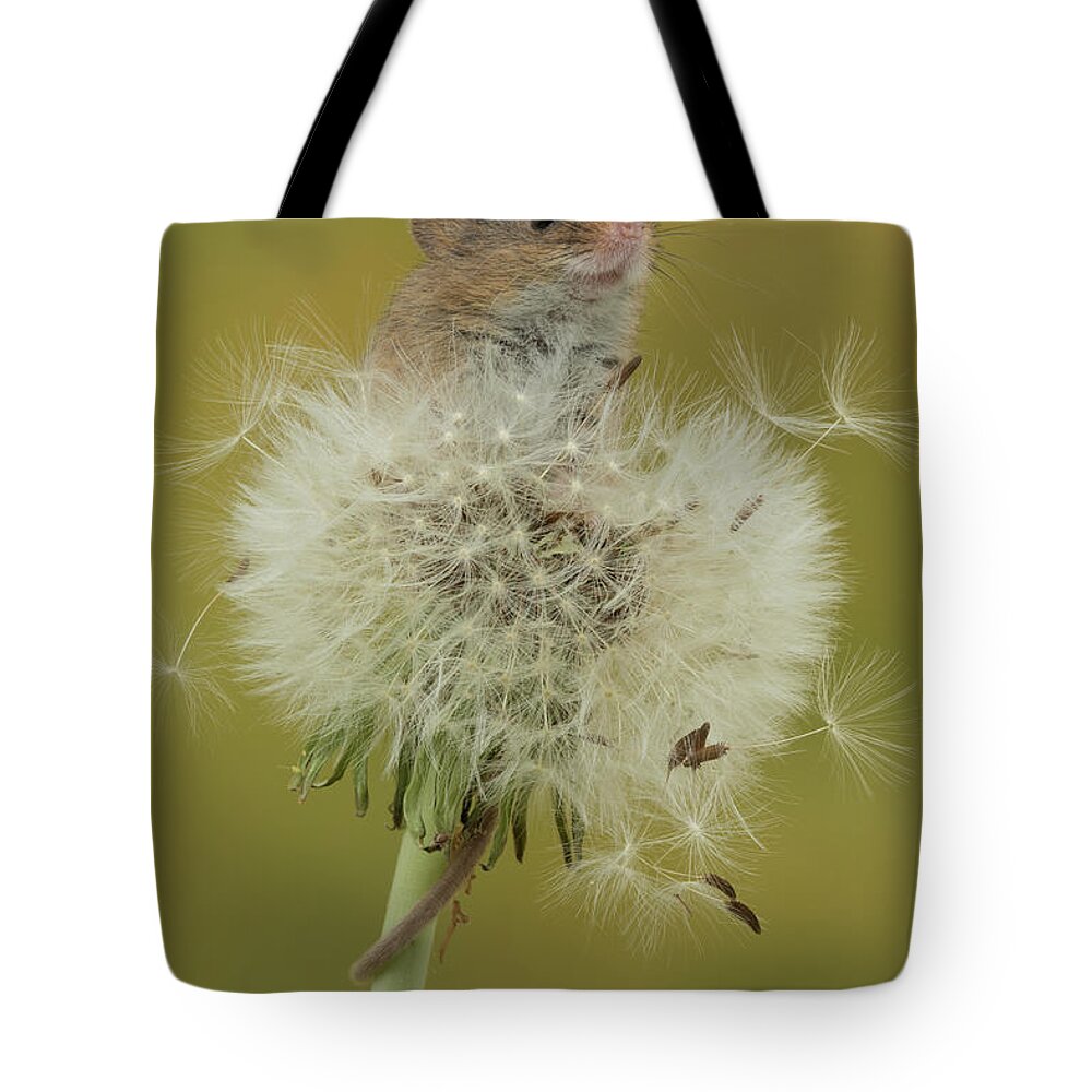 Harvest Tote Bag featuring the photograph Hm-7447 by Miles Herbert