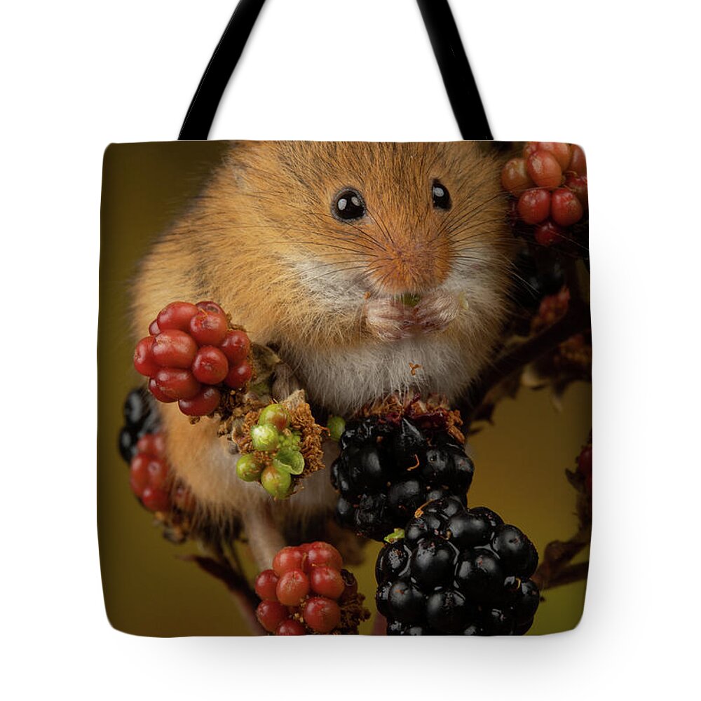Harvest Tote Bag featuring the photograph Hm-8630 by Miles Herbert