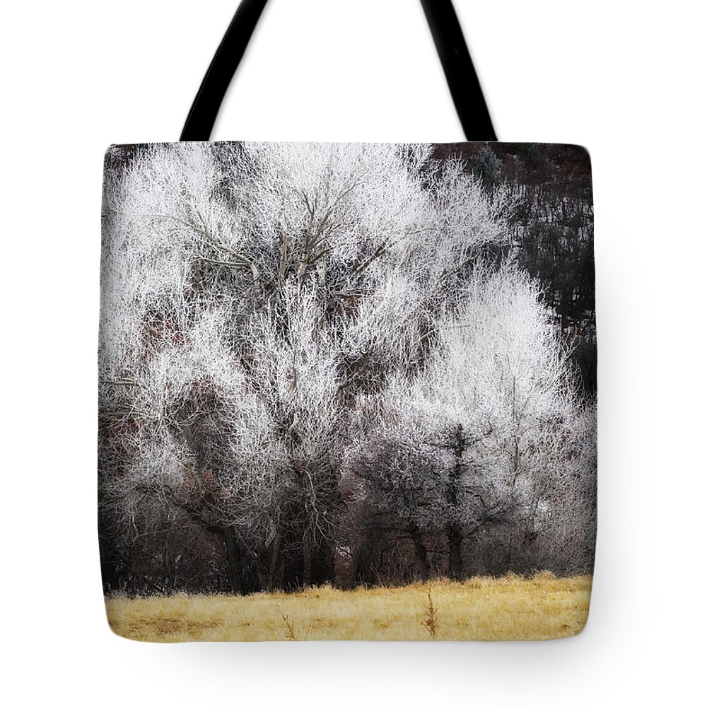 Hoar Frost In The Trees Tote Bag featuring the photograph Hoar Frost by Doug Wittrock